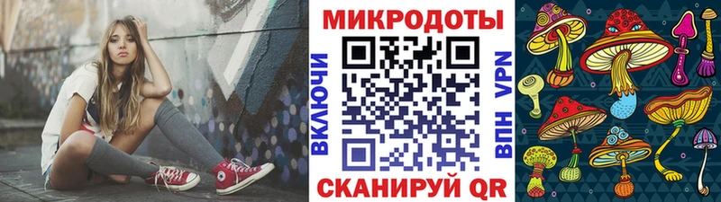 Псилоцибиновые грибы Psilocybe  блэк спрут ССЫЛКА  Новая Ладога 